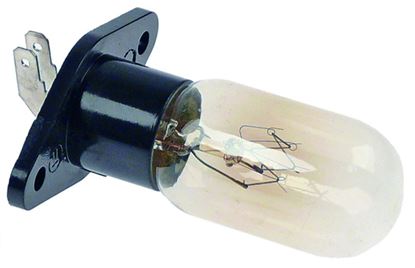 Candy ampoule d'éclairage 49021712 pour micro-ondes candy r742