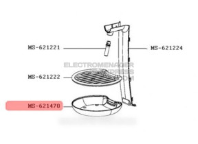 Bac MS-621470