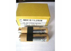 Batterie ni-mh WER1511L2508