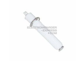 Bougie allumage + clips l=600 C00030955