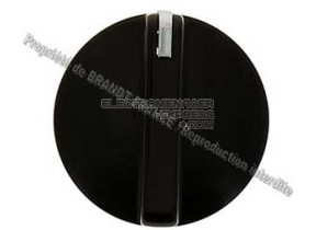 BOUTON PROGRAMMATEUR BRUN 31X5701