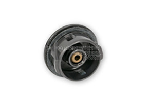 Cache de moteur 481010388397