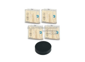 Cartouche anti-calcaire*4 ZR850001