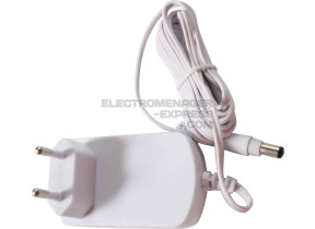 Chargeur de batterie 36v RSRH4902