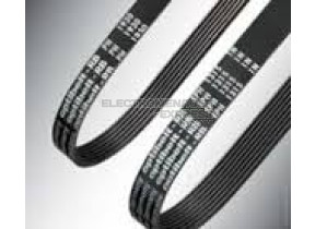 COURROIE POLY V 481935818019