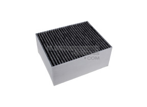 Filtre à charbon cleanair 11033934