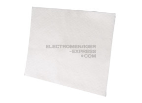 Filtre Moteur à decouper pour aspirateur - EF1 9000343120