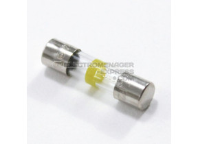 FUSIBLE EN VERRE RAPIDE 250V,2A 3601-001339