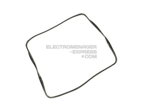 Joint de porte 455920016