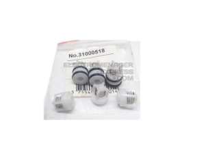 Kit soupapes 31000518