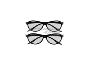 Lunettes (x2) EBX61668501