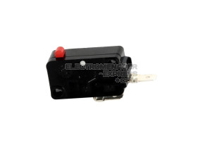 Microrupteur 10026284