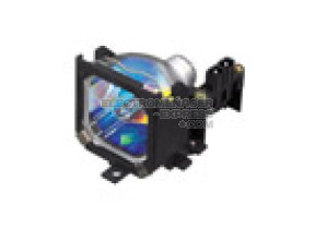 Minuteur SS-984075