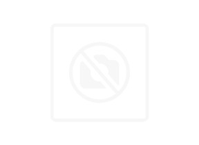 Module Inverteur 5940940400