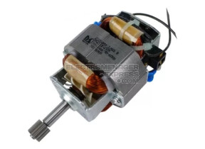 Moteur SS-193071
