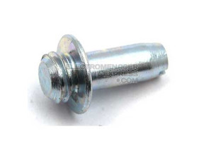 PIVOT CHARNIERE 19MM C00293114