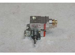Robinet à gaz sr 30 g20 481236058491