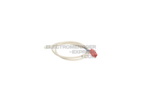 Sonde CTN 00751353