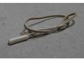 Sonde de température 4501981