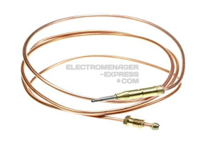 Thermocouple + grille C00307855