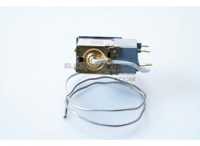 Thermostat 1066041