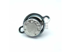 Thermostat 12023203