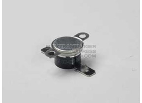 THERMOSTAT 481928248281