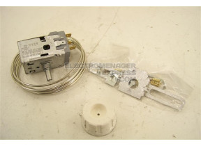 Thermostat 481981728919