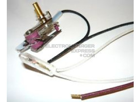 Thermostat 500584375