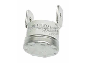 Thermostat 74°c 55X3913