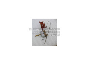 Thermostat 818731627