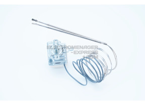 Thermostat C00089745