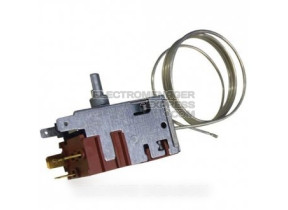 Thermostat C00195893