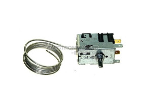 Thermostat C00282710