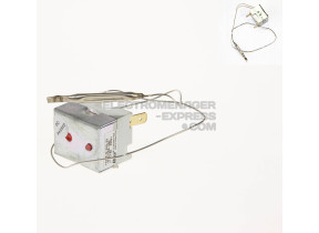 THERMOSTAT DE FRITEUSE LN1160