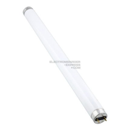 Ampoule