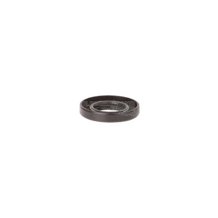 BAGUE A LEVRES AVEC RESSO