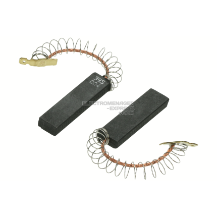 Balai charbon x2 version eco