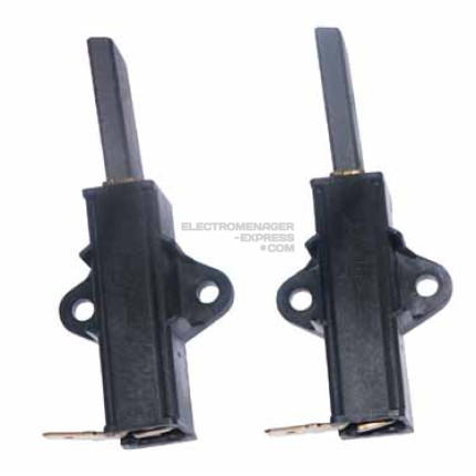 Balai moteur zem-sole 2 pièces