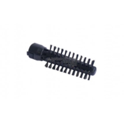 Brosse sanglier