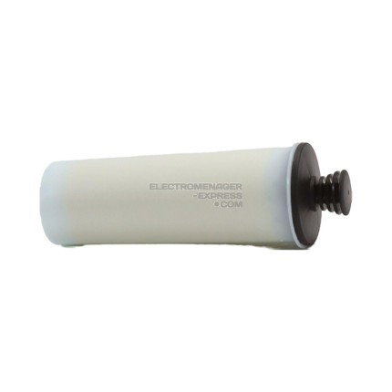 Cartouche filtrante nettoyeur vapeur