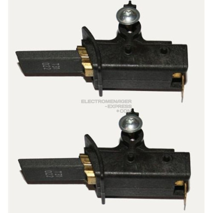 Charbon moteur selni x2