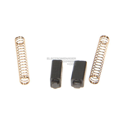 Charbons de moteur (x2)