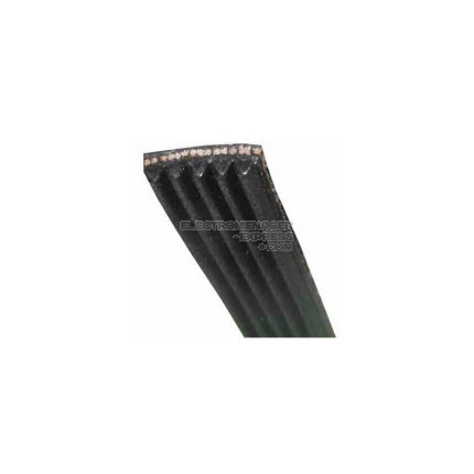 Courroie wmb6356sd/2356d