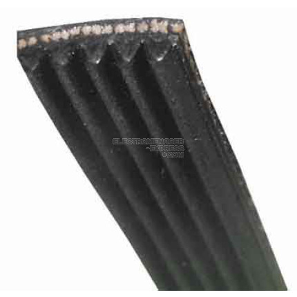 Courroir générique (381 j 4 gc5000 05)