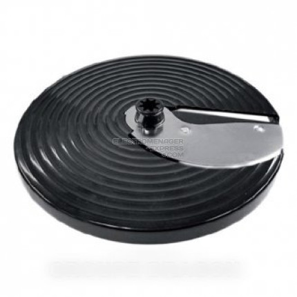 Disque à raper