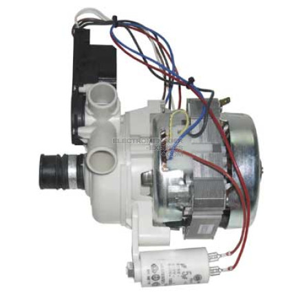 Électro-pompe 220v