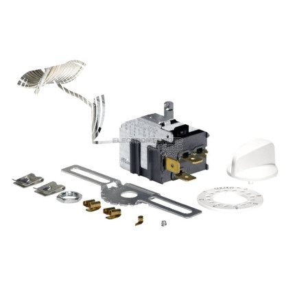 Ensemble thermostat