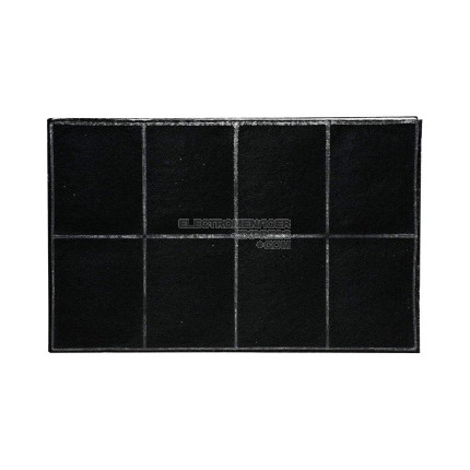 Filtre de charbon actif