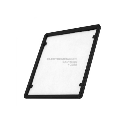 Filtre de sortie d'air pour aspirateur